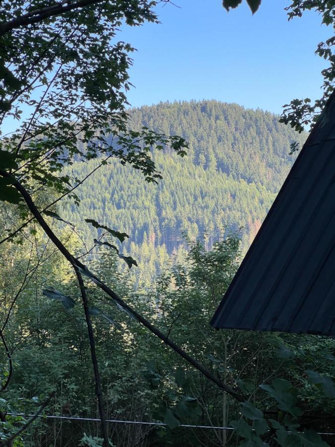 Chatka Pod Lysou Ostravice Eksteriør bilde
